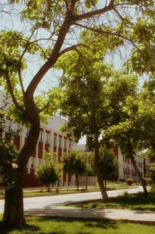 Private Universities in Malaysia Specializations & Strengths (2)